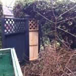 Small fence restoration