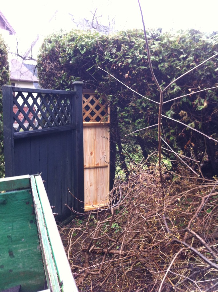 Small fence restoration