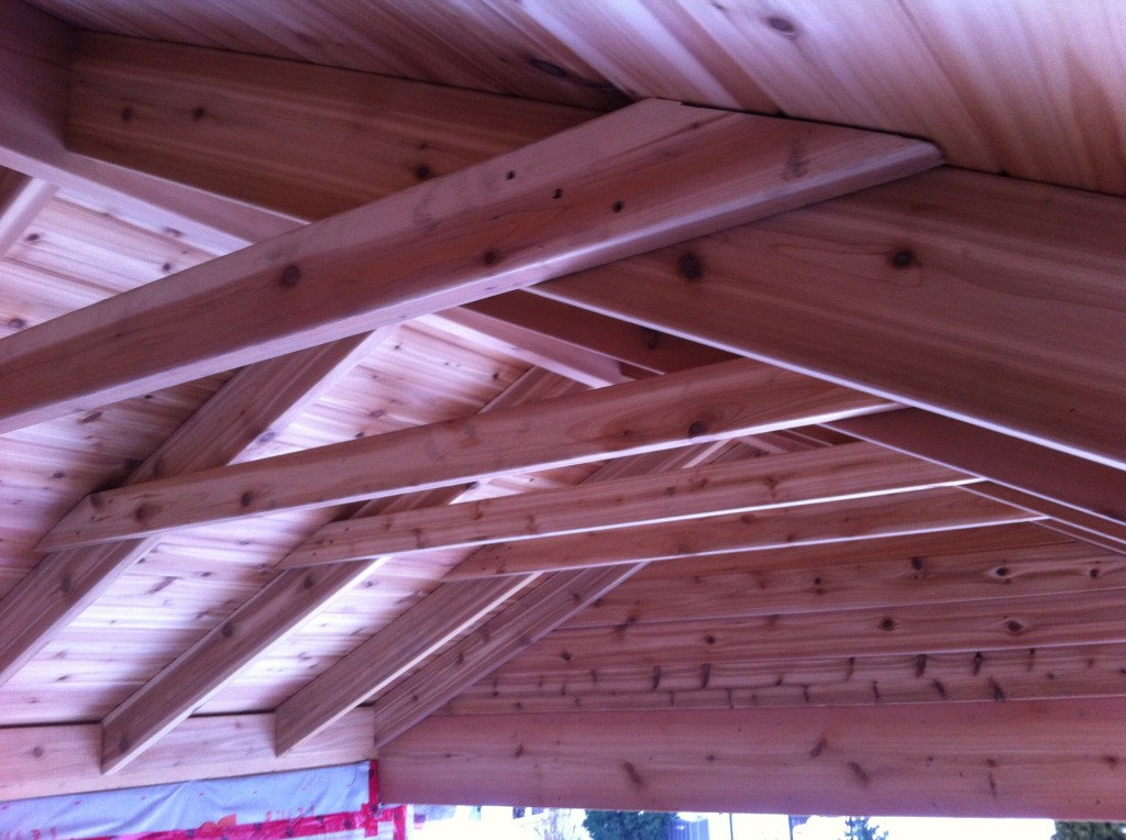 Exposed cedar roof framing